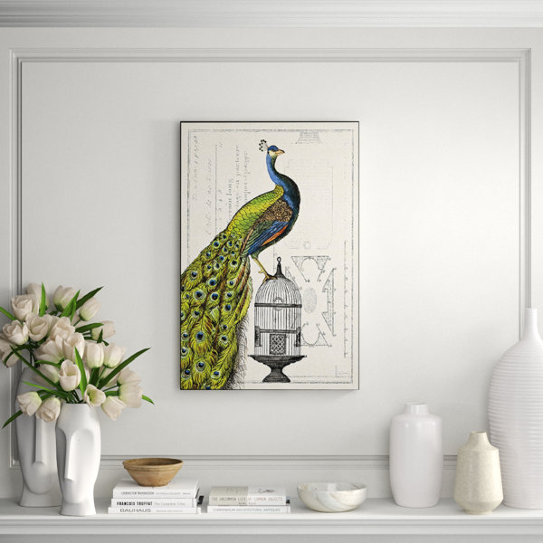 Clicart Peacock Birdcage I By Sue Schlabach Picture Frame Graphic Art Print On Paper Perigold