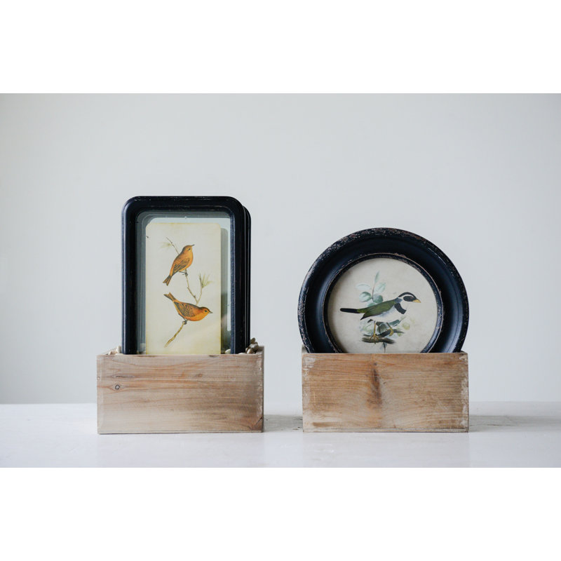 Gracie Oaks 4 Piece Round Wood Framed Bird Wall Decor Set