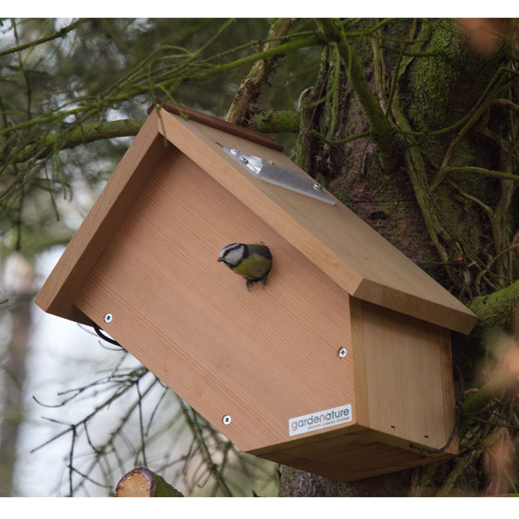 side view bird box