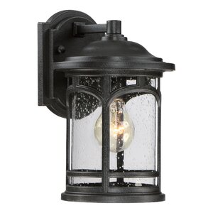 Sheppard 1-Light Outdoor Wall Lantern