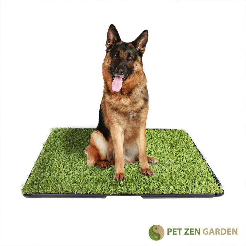 dog grass mat