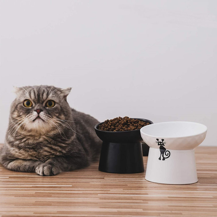 elevated cat bowls