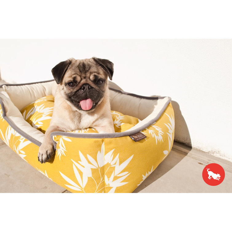 spot and bella elevated dog bed