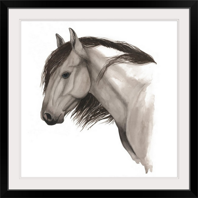 Great Big Canvas Wild Horse Ii Grace Popp Painting Print Wayfair