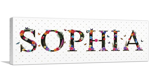 Artcanvas Sophia Girls Name Wrapped Canvas Panoramic Textual Art Print Wayfair
