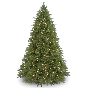 Storage Bag For Christmas Tree Wayfair 7 5 Green Fir Artificial Christmas Tree With 1250 Lights Stand