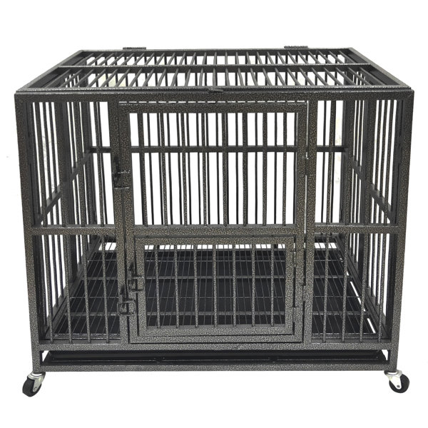 folding pet crate