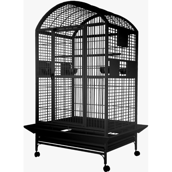 large metal parrot cage