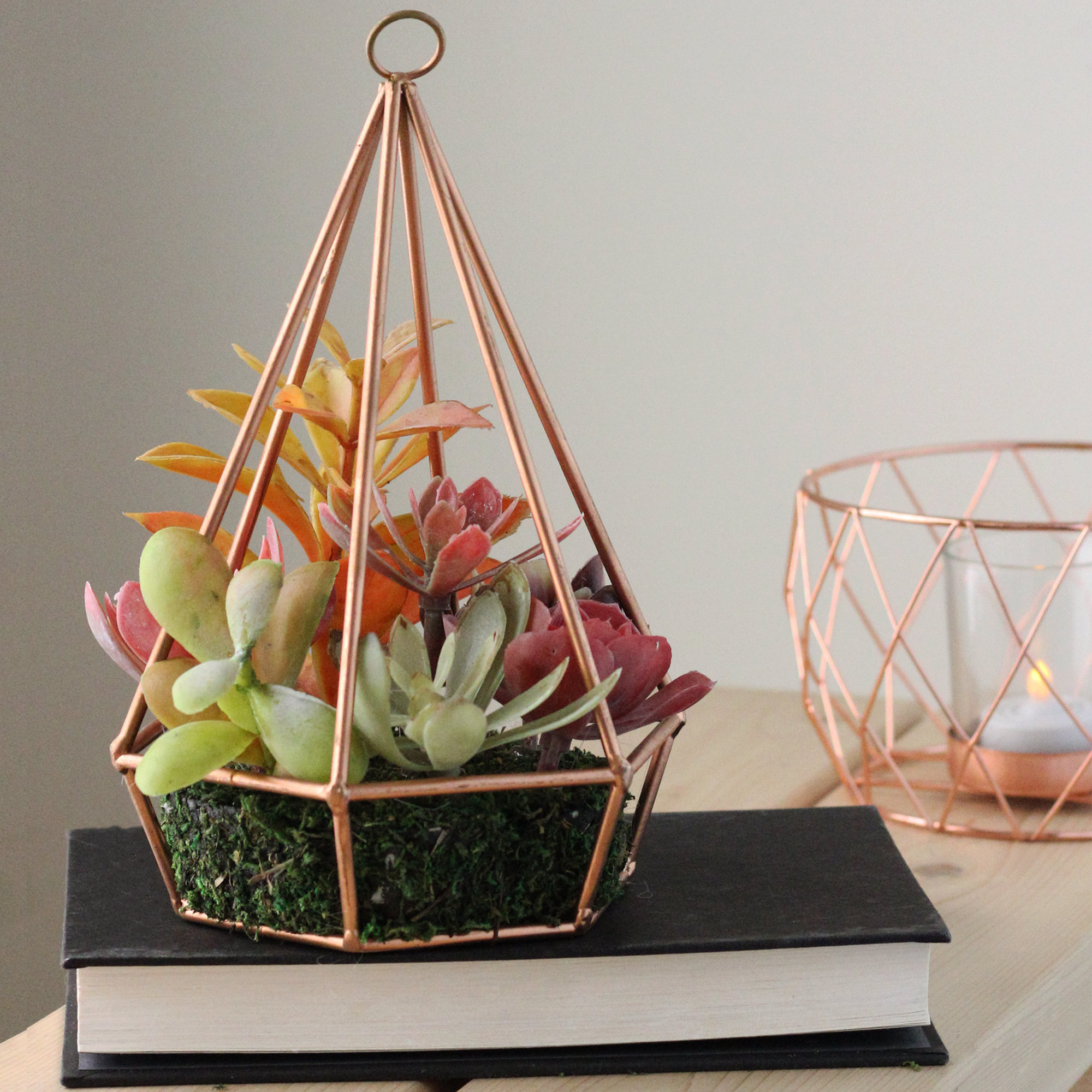Bungalow Rose Artificial Desktop Succulents Arrangement In