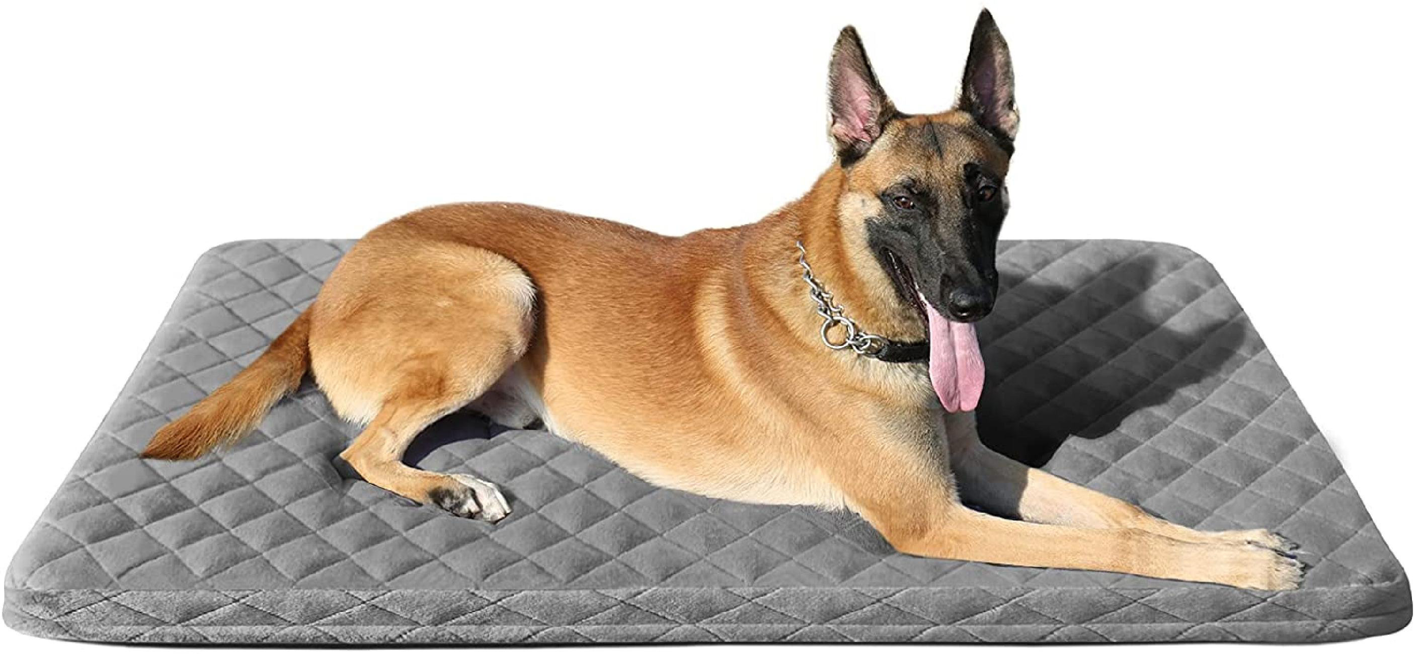 Dog crate pad with removable cover Clearance