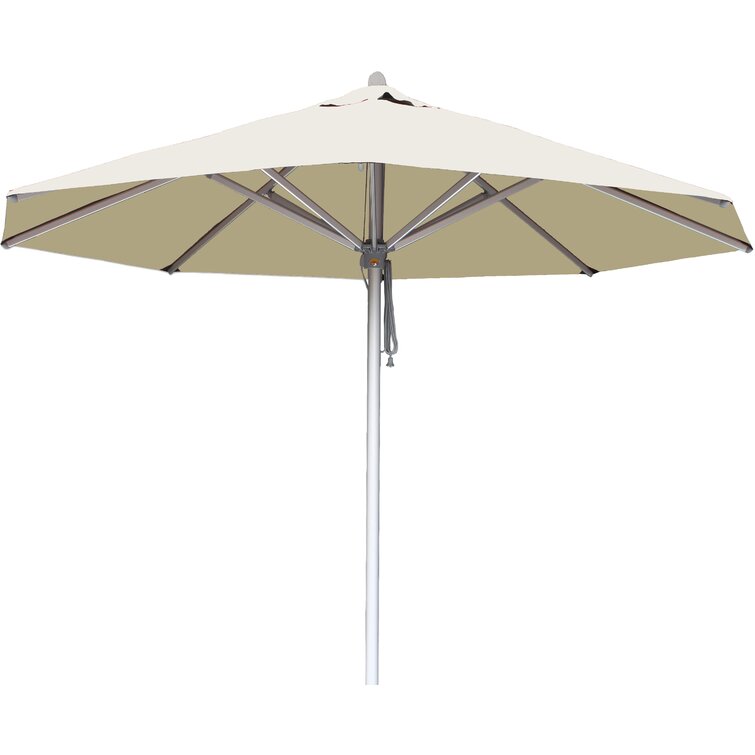 Canora Grey Ezell 118'' Market Umbrella | Wayfair