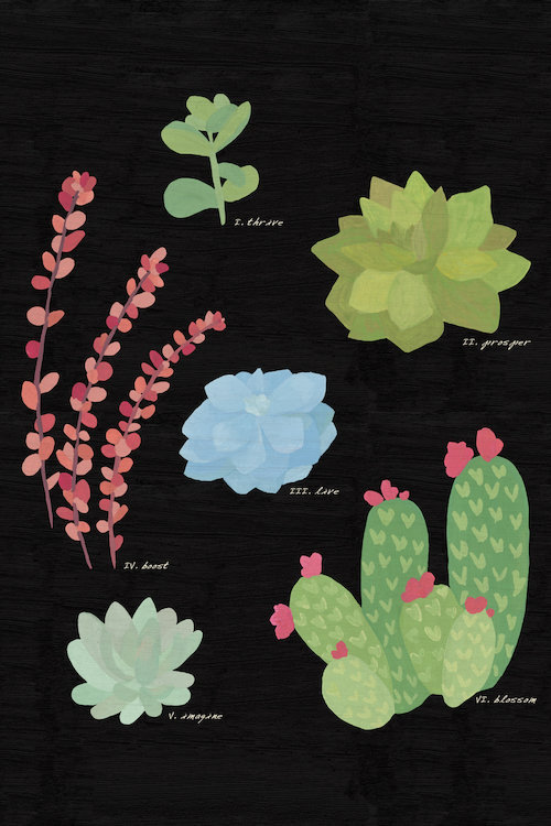 Bungalow Rose Succulent Plant Chart Iv Painting Print On Wrapped