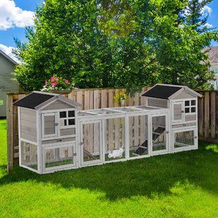 large plastic dog cage