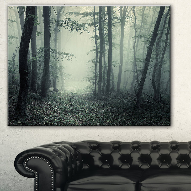 Designart Trail Through Dark Forest Photographic Print On