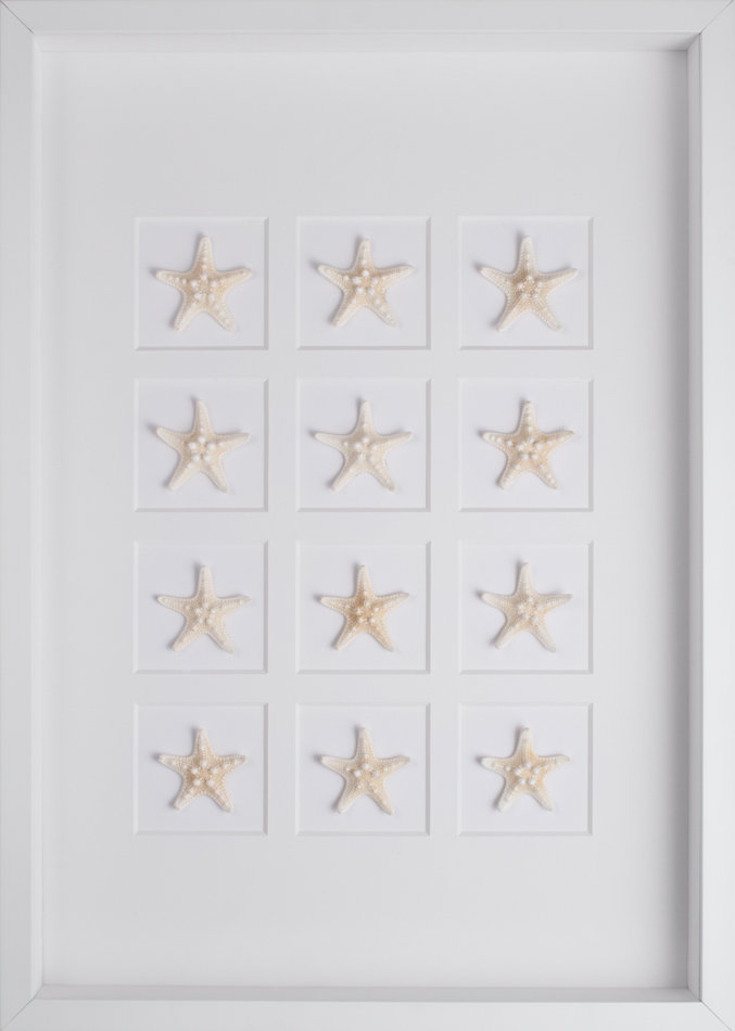 Starfish Wall Décor Starfish Wall Décor