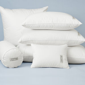 100% Down European Pillow by Warm Things