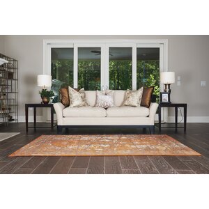 Yareli Brown/Terracotta Area Rug