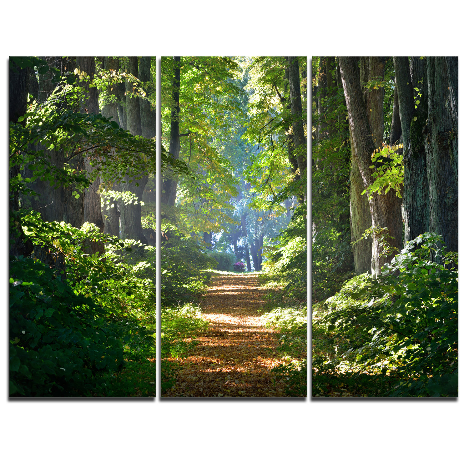 Designart Bright Green Forest In Morning 3 Piece Graphic Art On Wrapped Canvas Set Wayfair
