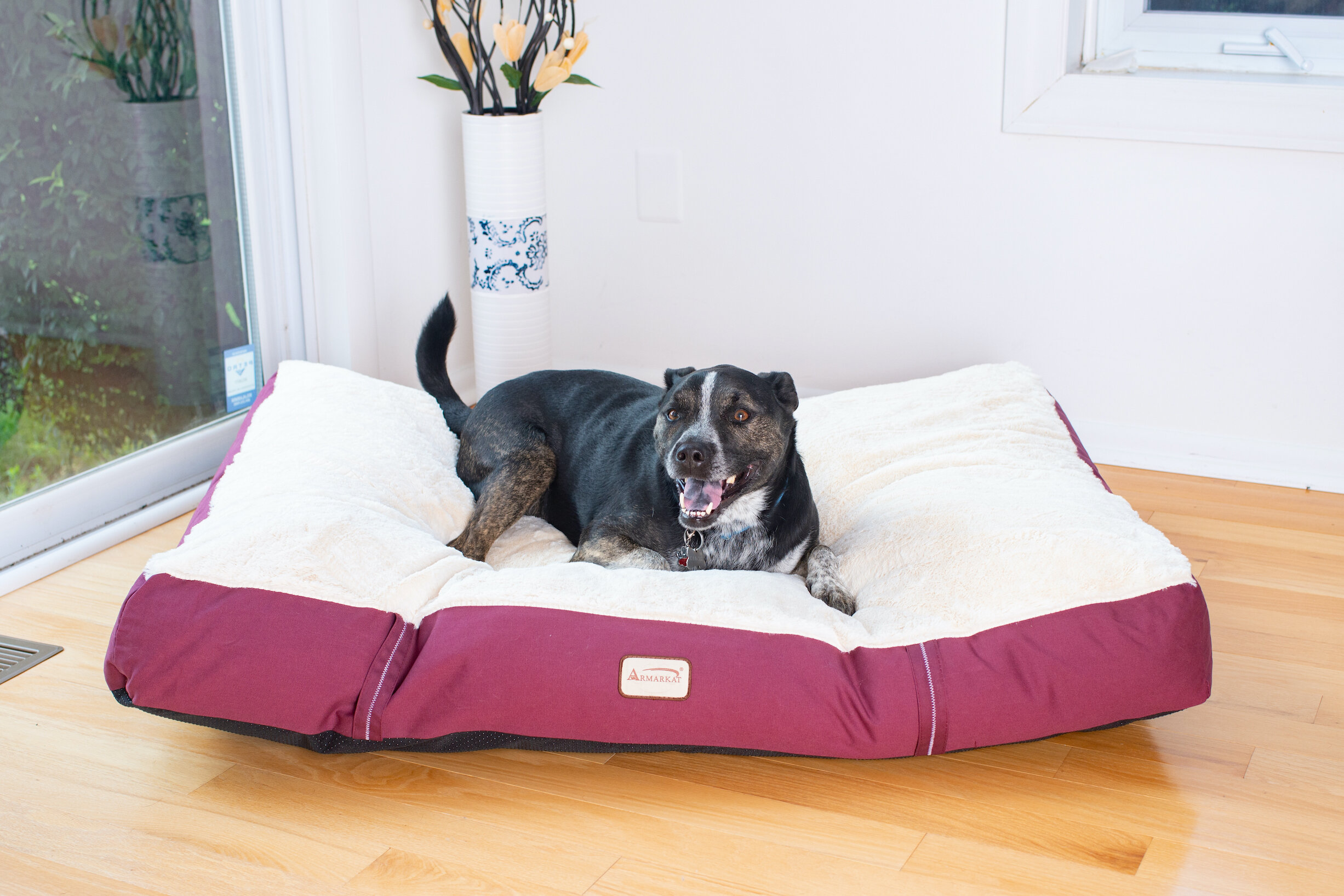 large canvas dog bed