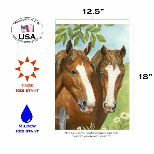 Toland Twin Horses 12.5 x 18 Farm Horse Spring Summer Flower Garden Flag 