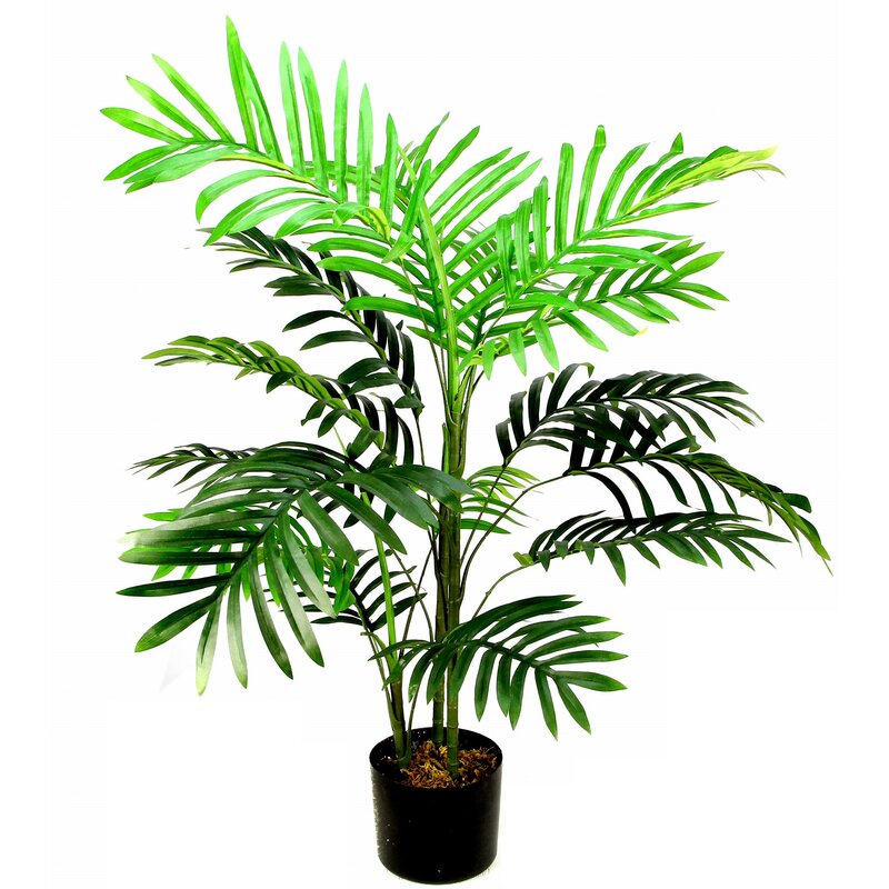 Bay Isle Home Aritificial Paradise Palm Tree in Pot & Reviews | Wayfair