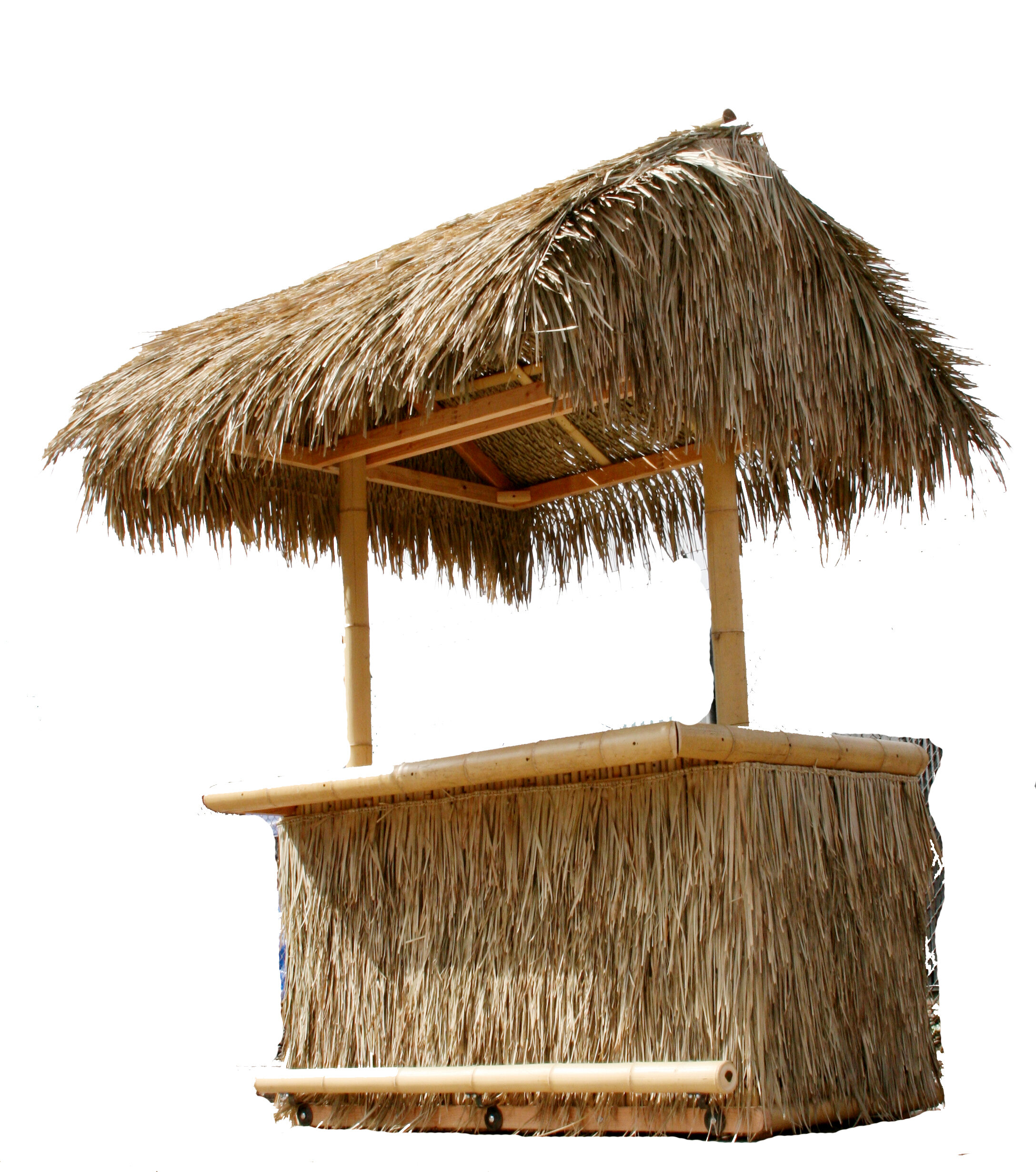 Backyard X Scapes Mexican Palm Thatch Panels Reviews Wayfair