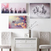 home furnishings uk - animal wall art by graham & brown