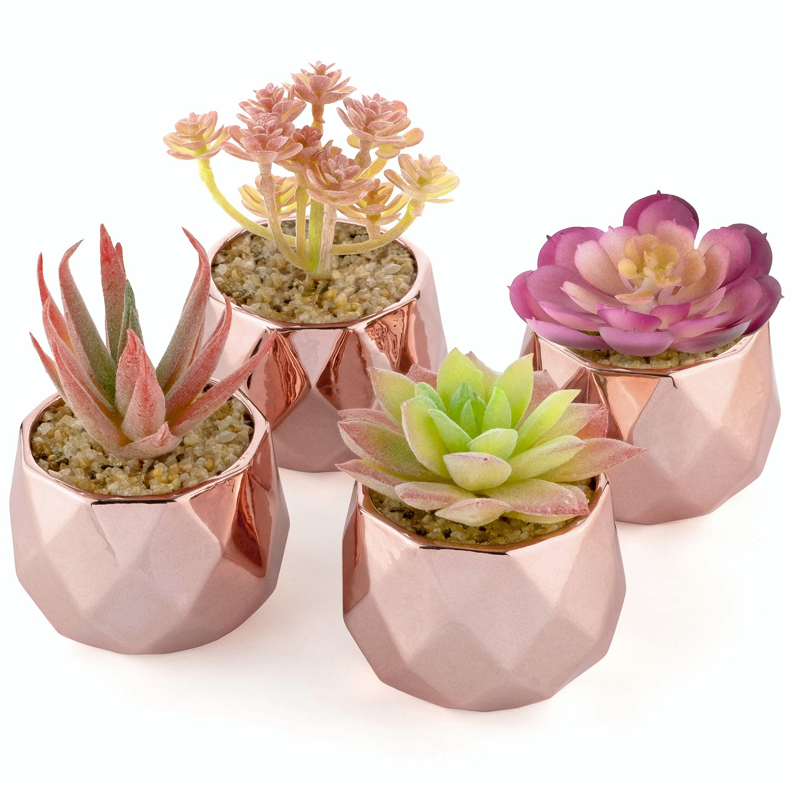 Artificial Fake Succulents Plants Mini 2 Blooming Cactus 2 Flowers Set of 4