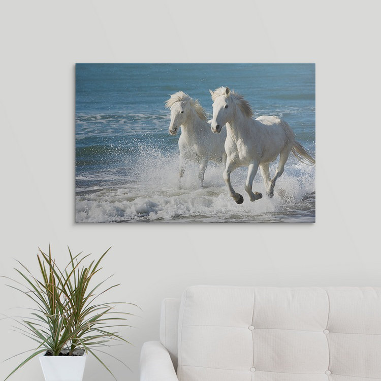 Mongolian Horses Running Kitchen Bath Bathroom Shower Floor Home Door Mat