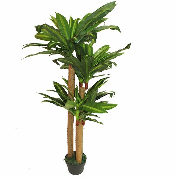 Bloomsbury Market Artificial Dracaena Plant in Pot | Wayfair