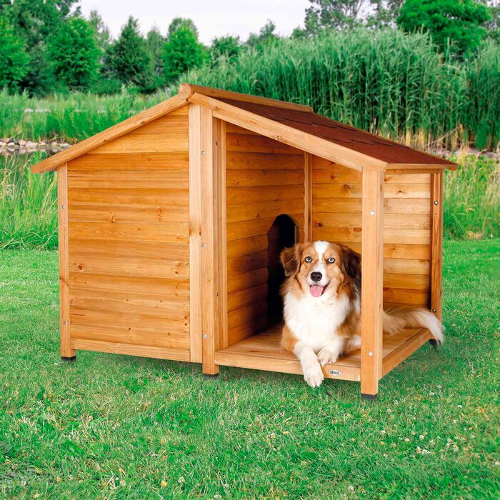 Archie & Oscar™ Hailey Rustic Dog House & Reviews | Wayfair