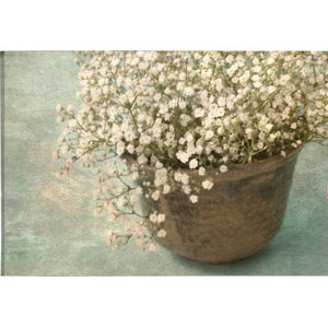 Irish Pot with Lace Graphic Art on Wrapped Canvas