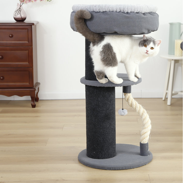 wayfair cat post