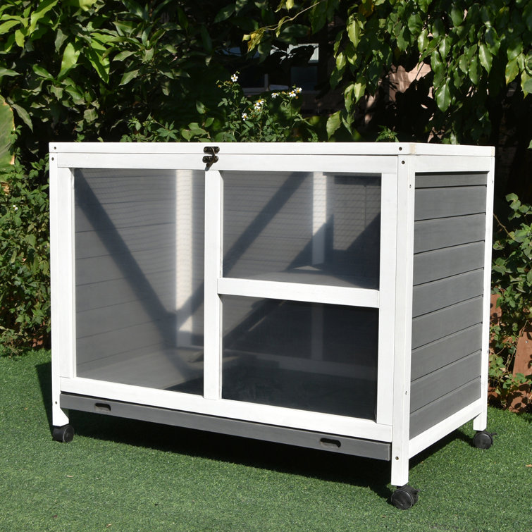 plexiglass rabbit cage