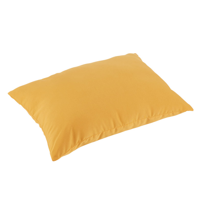 Beachcrest Home Woodsdale Bright Indoor/Outdoor Floor Pillow Wayfair.ca