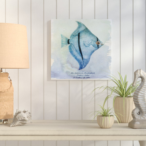 Highland Dunes Seba Fish Nautical And Coastal Wrapped Canvas