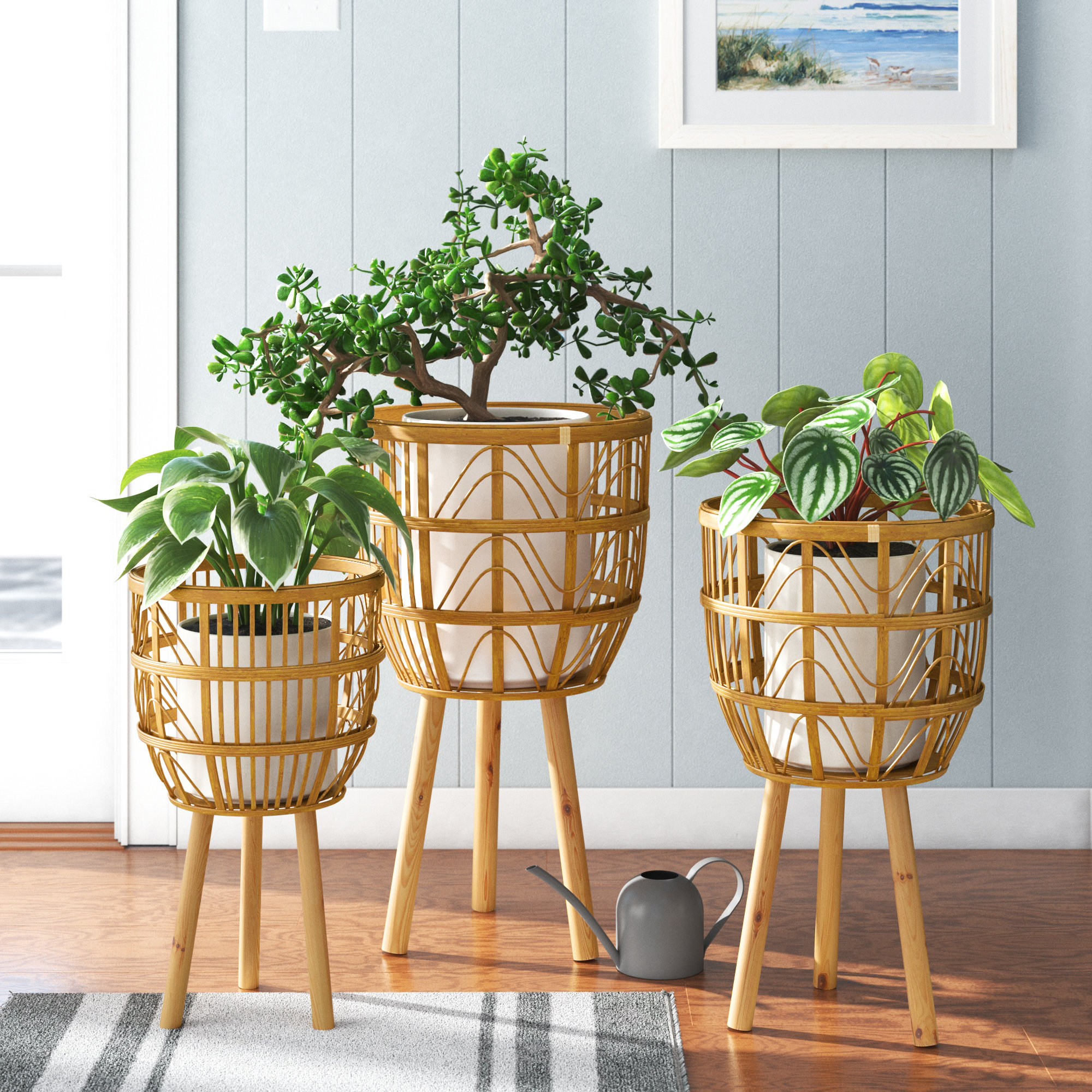 Vernita 3 - Piece Bohemian Bamboo Pot Planter Set