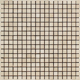 European Tumbled Mediterranean 0.63" x 0.63" Marble Mosaic Tile by