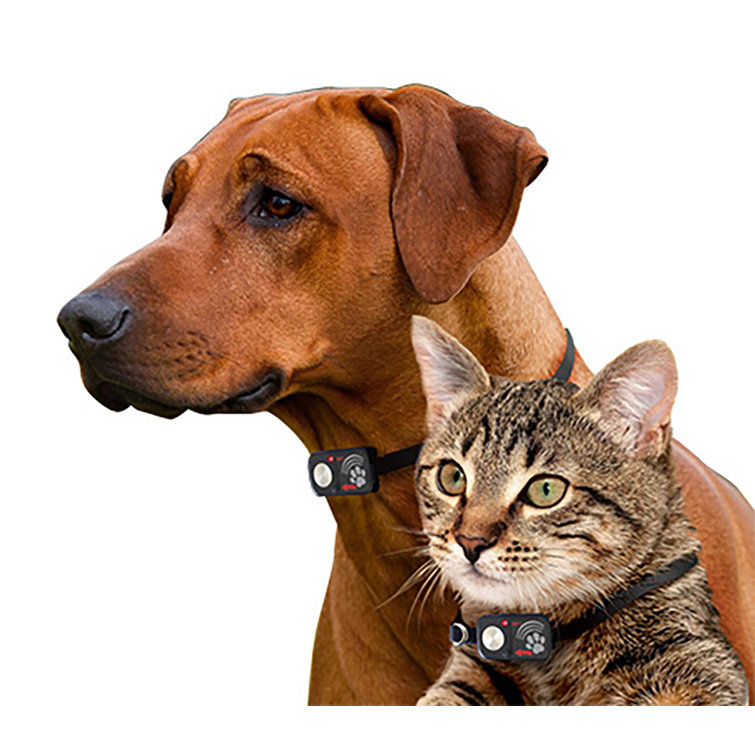 high frequency dog collar