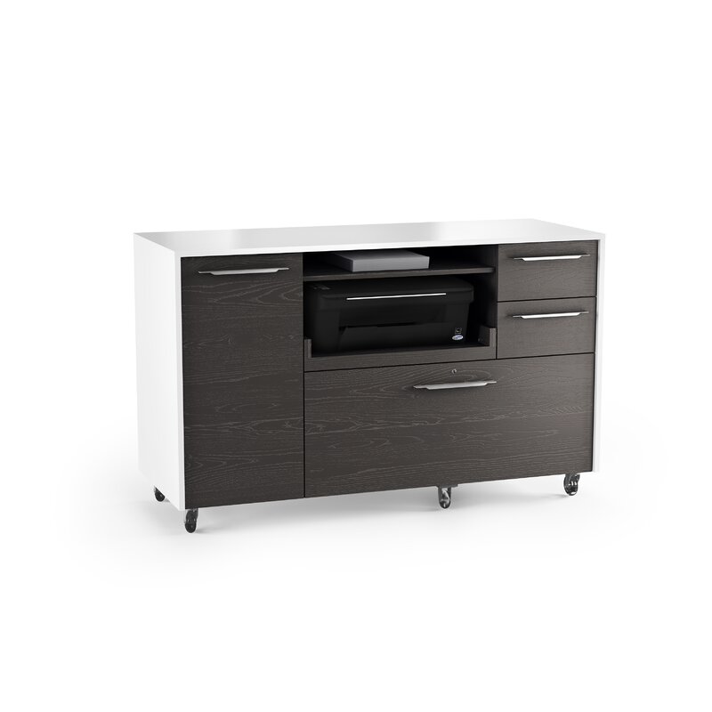 Format 2 Drawer Mobile Filing Cabinet Reviews Allmodern