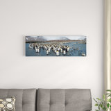 Panoramic Penguin Wall Art You Ll Love In 2021 Wayfair