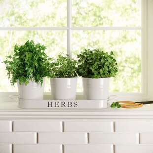 Plant Pot on Legs Ceramic Windowsill Herbs Flower Scandi Planter Kitchen Garden 