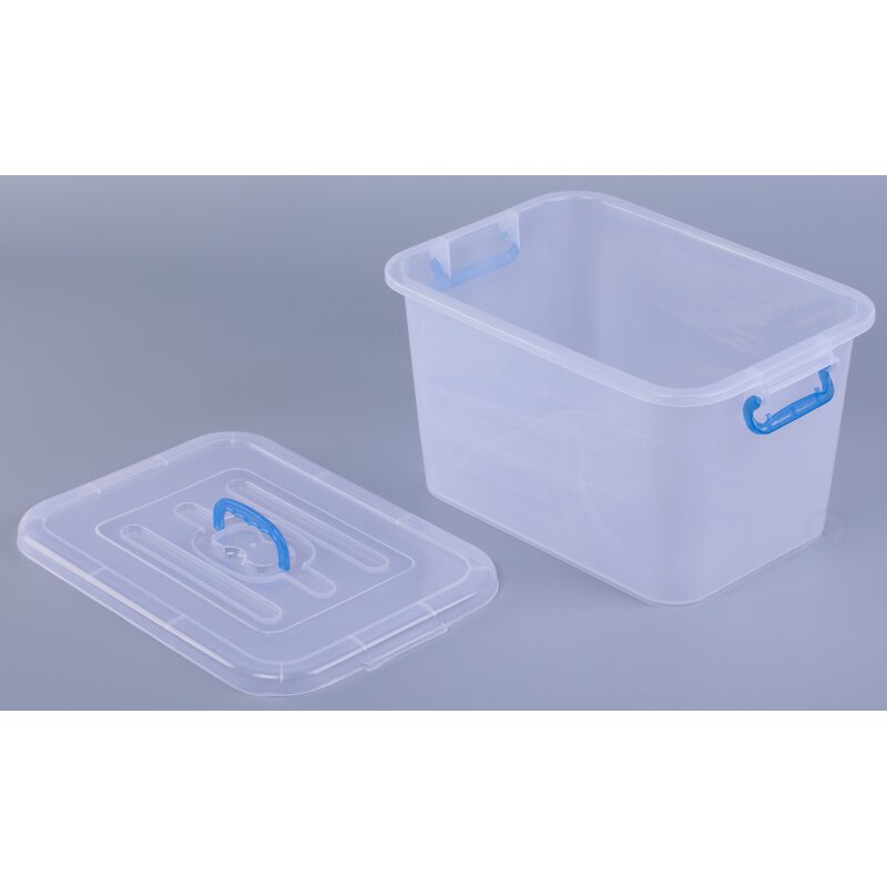 clear storage boxes with lids