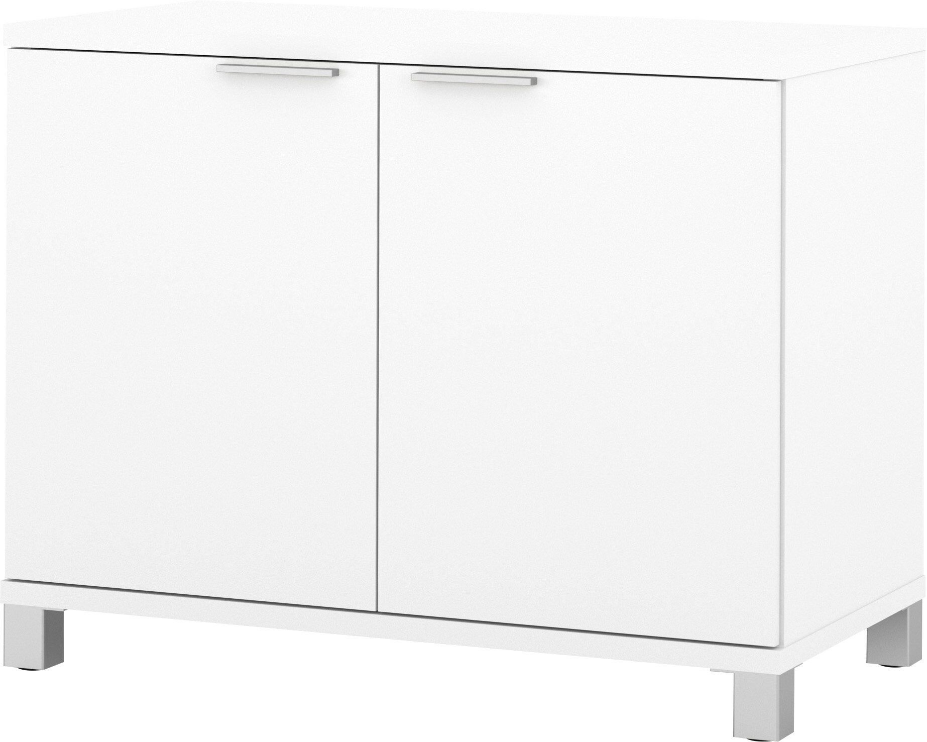 Vanessa 2 Door Storage Cabinet Reviews Allmodern