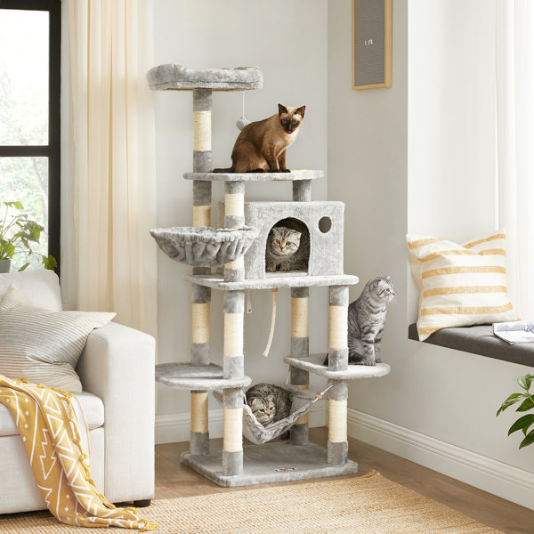 roman cat condo