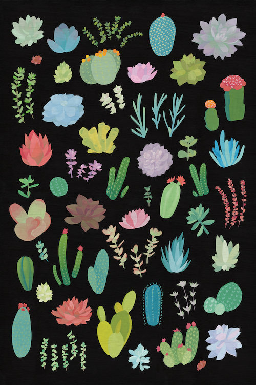 Bungalow Rose Succulent Plant Chart I Painting Print On Wrapped
