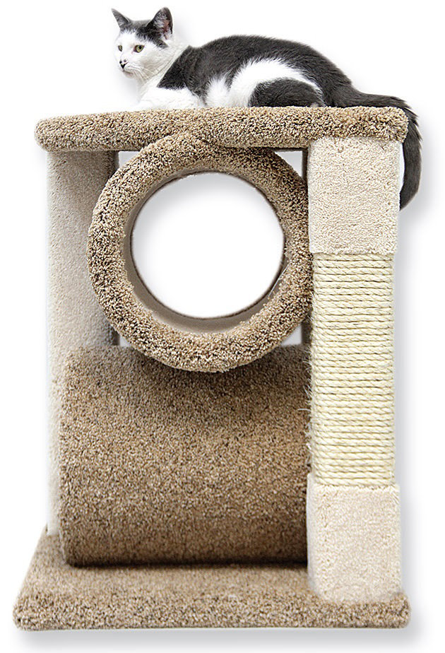 Tucker Murphy Pet 27 Moreno 2 N 1 Stacker Cat Condo Reviews Wayfair