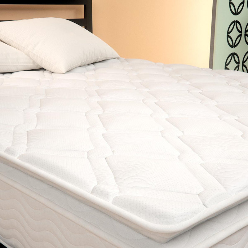 Alwyn Home 10 Medium Pillow Top Mattress Reviews Wayfair