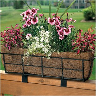 Railing Planters You'll Love | Wayfair