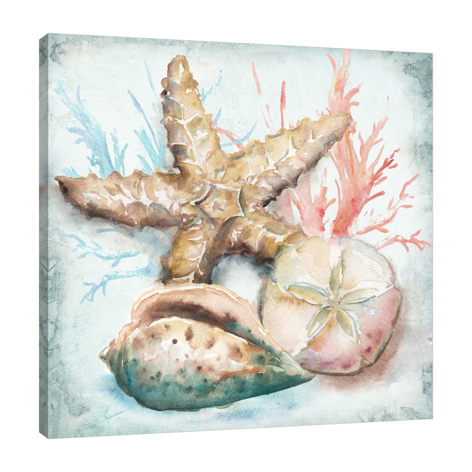 Wall Picture on Stretcher 3D 40cm Nautical Starfish Print Painting holding cushion picture